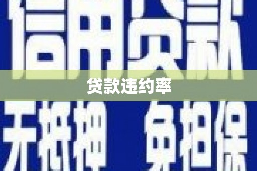 林周贷款违约率