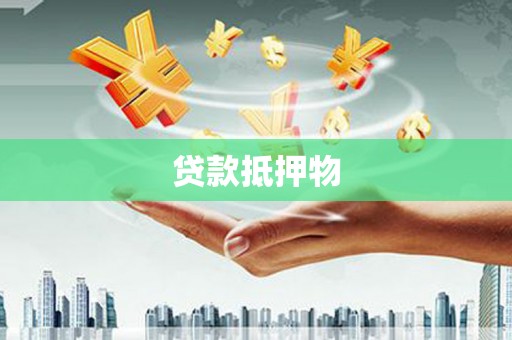 林周贷款抵押物