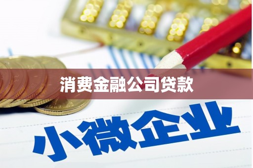 林周消费金融公司贷款