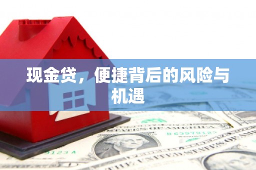 林周现金贷，便捷背后的风险与机遇