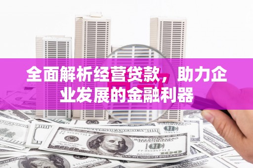 林周全面解析经营贷款，助力企业发展的金融利器