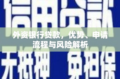 林周外资银行贷款，优势、申请流程与风险解析
