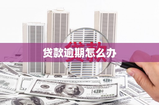 林周贷款逾期怎么办