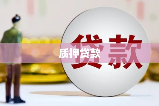 林周质押贷款