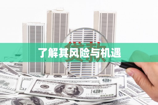 林周了解其风险与机遇