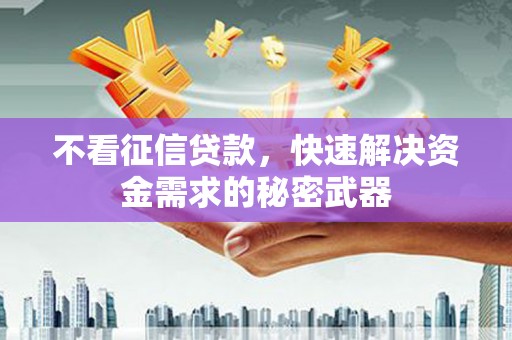 林周不看征信贷款，快速解决资金需求的秘密武器