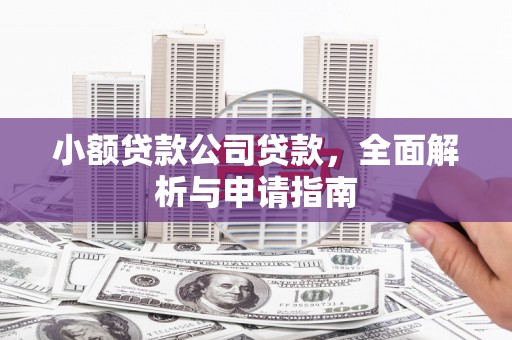 林周小额贷款公司贷款，全面解析与申请指南