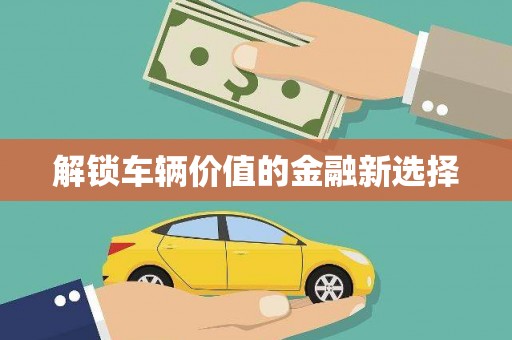 林周解锁车辆价值的金融新选择