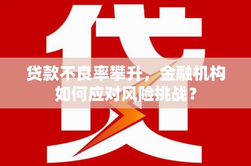 林周贷款不良率攀升，金融机构如何应对风险挑战？