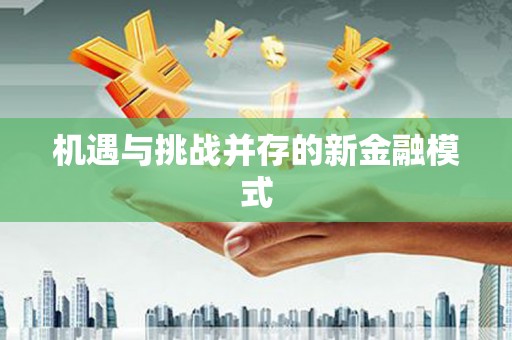 林周机遇与挑战并存的新金融模式
