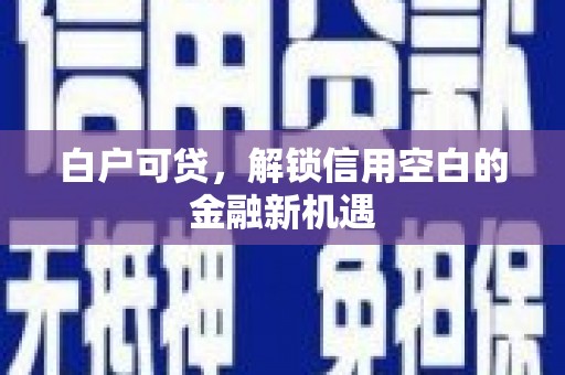 林周白户可贷，解锁信用空白的金融新机遇