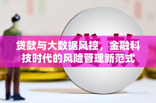 林周贷款与大数据风控，金融科技时代的风险管理新范式