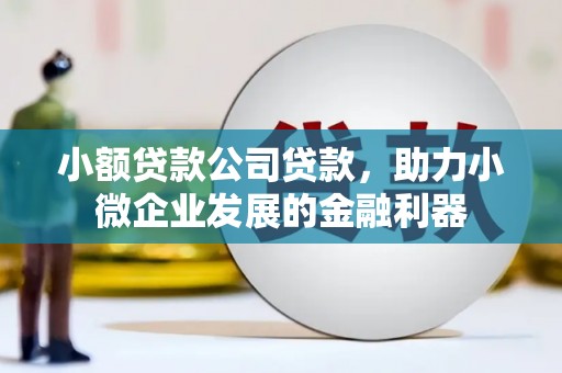 林周小额贷款公司贷款，助力小微企业发展的金融利器