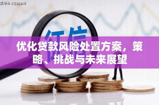 林周优化贷款风险处置方案，策略、挑战与未来展望