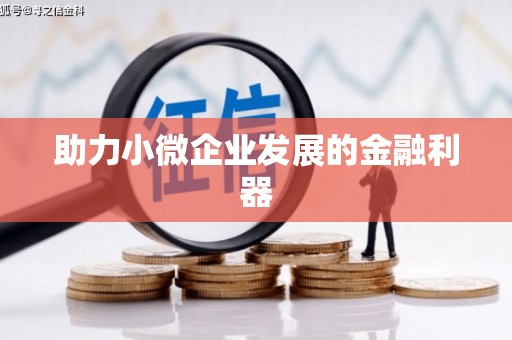 林周助力小微企业发展的金融利器