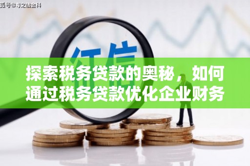 林周探索税务贷款的奥秘，如何通过税务贷款优化企业财务