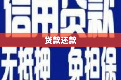 林周贷款还款