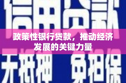 林周政策性银行贷款，推动经济发展的关键力量