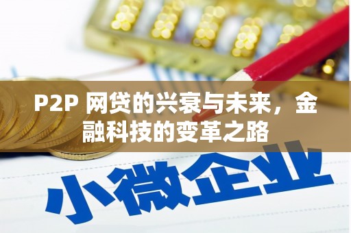 林周P2P 网贷的兴衰与未来，金融科技的变革之路