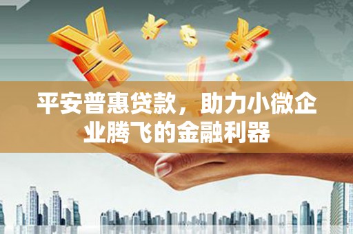 林周平安普惠贷款，助力小微企业腾飞的金融利器