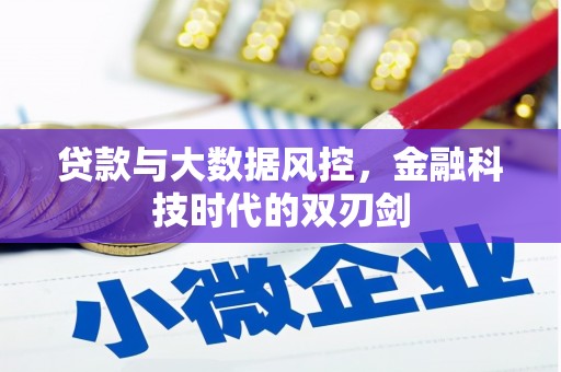 林周贷款与大数据风控，金融科技时代的双刃剑