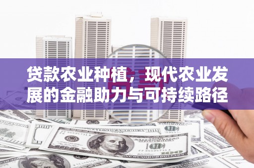 林周贷款农业种植，现代农业发展的金融助力与可持续路径