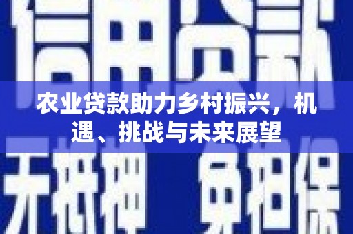林周农业贷款助力乡村振兴，机遇、挑战与未来展望