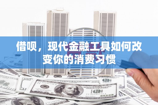 林周借呗，现代金融工具如何改变你的消费习惯