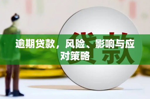 林周逾期贷款，风险、影响与应对策略