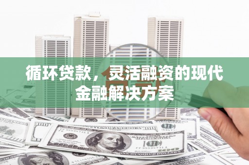 林周循环贷款，灵活融资的现代金融解决方案