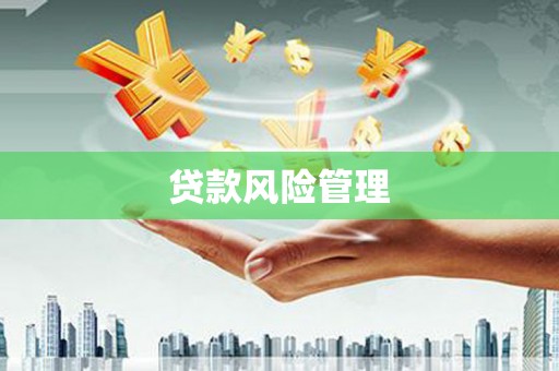林周贷款风险管理