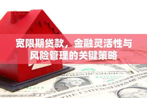 林周宽限期贷款，金融灵活性与风险管理的关键策略