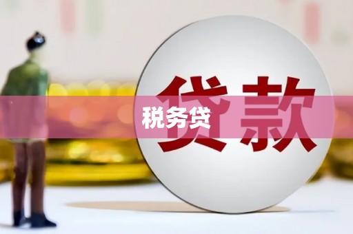 林周税务贷