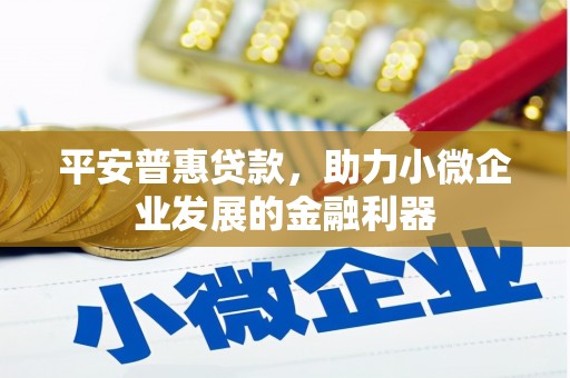 林周平安普惠贷款，助力小微企业发展的金融利器