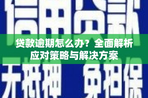 林周贷款逾期怎么办？全面解析应对策略与解决方案