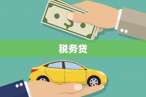 林周税务贷
