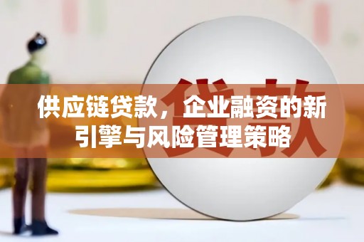 林周供应链贷款，企业融资的新引擎与风险管理策略