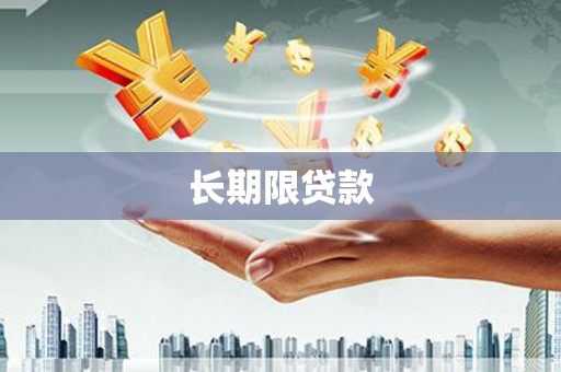 林周长期限贷款