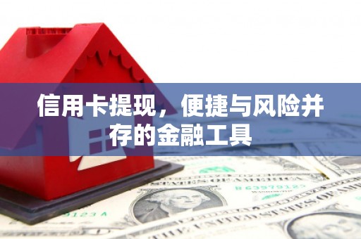 林周信用卡提现，便捷与风险并存的金融工具