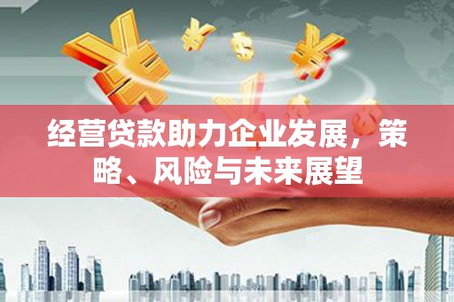 林周经营贷款助力企业发展，策略、风险与未来展望
