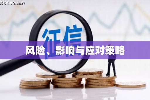 林周风险、影响与应对策略