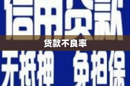 林周贷款不良率
