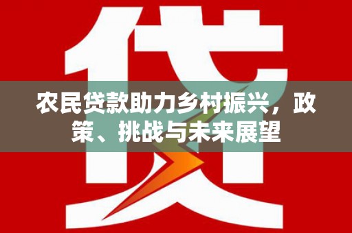 林周农民贷款助力乡村振兴，政策、挑战与未来展望