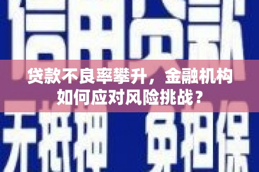 林周贷款不良率攀升，金融机构如何应对风险挑战？
