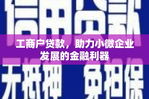 林周工商户贷款，助力小微企业发展的金融利器