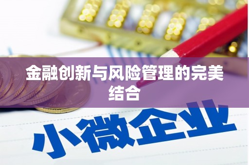 林周金融创新与风险管理的完美结合