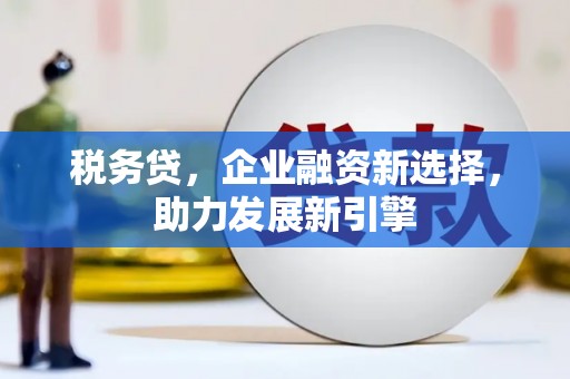 林周税务贷，企业融资新选择，助力发展新引擎