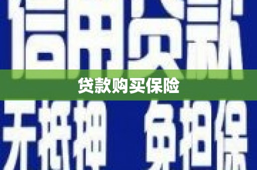 林周贷款购买保险
