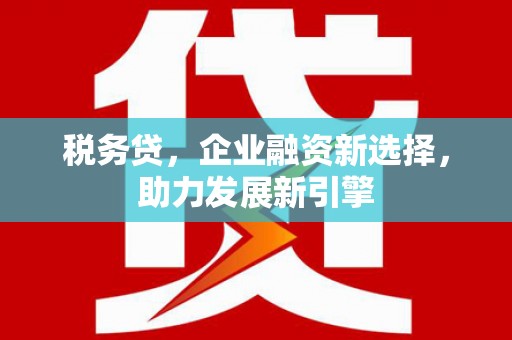 林周税务贷，企业融资新选择，助力发展新引擎