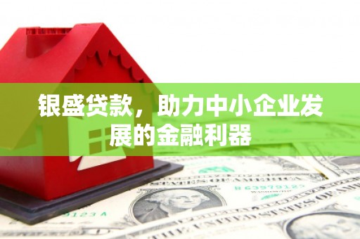 林周银盛贷款，助力中小企业发展的金融利器